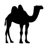 Camel icon. Camel Silhouette vector