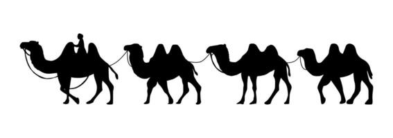 Camel Herder Silhouette illustration. Camel Caravan Silhouette vector