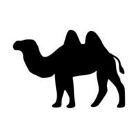 camello icono. camello silueta vector