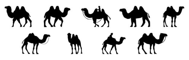 Collection of Camel icon. Camel Silhouette vector