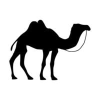 Camel icon. Camel Silhouette vector