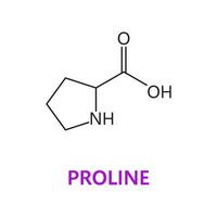 aminado ácido, prolina, químico molécula fórmula vector