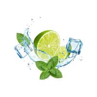 Mojito splash, ice, lime, mint and water drops vector