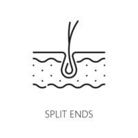 Hair care, split ends treatment thin line icon vector