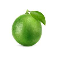 Realistic green ripe raw lime fruit, whole citrus vector