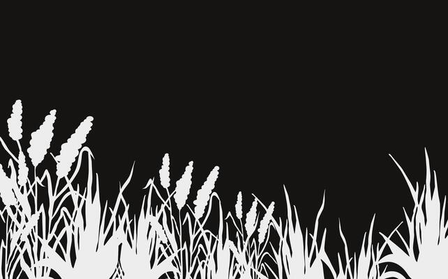 Image of a monochrome reed,grass or bulrush on a white background.Isolated vector drawing.Black grass graphic silhouette.