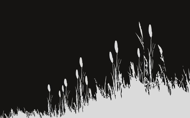 Image of a monochrome reed,grass or bulrush on a white background.Isolated vector drawing.Black grass graphic silhouette.