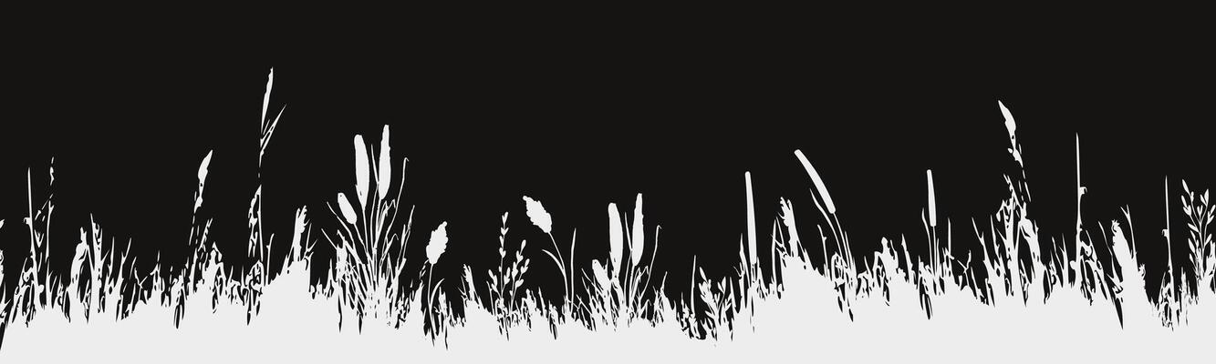 Image of a monochrome reed,grass or bulrush on a white background.Isolated vector drawing.Black grass graphic silhouette.