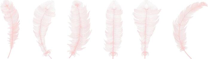 Set of realistic vector goose or swan feathers of various shapes. Ecological feather filler for pillows, blankets or jackets.Vector concept design,line art.