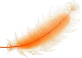 Set of realistic vector goose or swan feathers of various shapes. Ecological feather filler for pillows, blankets or jackets.Vector concept design,line art.