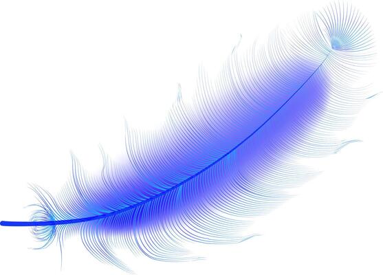 Set of realistic vector goose or swan feathers of various shapes. Ecological feather filler for pillows, blankets or jackets.Vector concept design,line art.