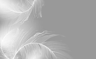 Set of realistic vector goose or swan feathers of various shapes. Ecological feather filler for pillows, blankets or jackets.Vector concept design,line art.