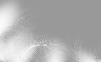 Set of realistic vector goose or swan feathers of various shapes. Ecological feather filler for pillows, blankets or jackets.Vector concept design,line art.