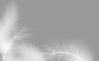 Set of realistic vector goose or swan feathers of various shapes. Ecological feather filler for pillows, blankets or jackets.Vector concept design,line art.