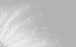 Set of realistic vector goose or swan feathers of various shapes. Ecological feather filler for pillows, blankets or jackets.Vector concept design,line art.