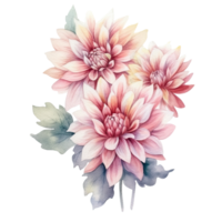 ai gegenereerd dahlia dahlia's arrangement waterverf illustratie mooi geïsoleerd bloemen bloemen decoratie klem kunst geïsoleerd achtergrond voor bruiloft baby douche uitnodigingen groet kaart png