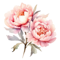 ai gegenereerd roze Purper pioenen waterverf illustratie mooi geïsoleerd bloemen bloemen decoratie klem kunst geïsoleerd achtergrond voor bruiloft baby douche uitnodigingen groet kaart png