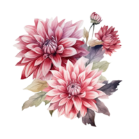 ai généré dahlia dahlias arrangement aquarelle illustration magnifique isolé fleurs floral décoration agrafe art isolé Contexte pour mariage bébé douche invitations salutation carte png