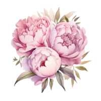 ai generato rosa viola peonie acquerello illustrazione bellissimo isolato fiori floreale decorazione clip arte isolato sfondo per nozze bambino doccia inviti saluto carta png