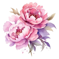 AI generated Pink Purple Peonies Watercolor Illustration Beautiful Isolated Flowers Floral Decoration Clip Art Isolated Background for Wedding Baby Shower Invitations Greeting Card png