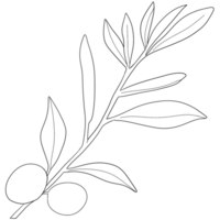 Sketch olive branch with leaves. Monochrome outline olive branches png