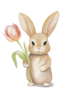 Watercolor bunny with tulip. Illustration with hand drawn rabbit, easter bunny on white background. png