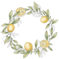 Watercolor wreath of lemon branches. Lemon frame. Black stroke, lemon sketch png