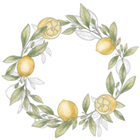 acquerello ghirlanda di Limone rami. Limone telaio. nero ictus, Limone schizzo png