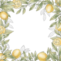 Watercolor frame of lemon branches. Lemon square border. Black stroke, lemon sketch png