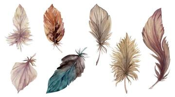Hand drawn watercolor illustration bird feather plume quill boho tribal ethnic indian. Set of objects isolated on white background. Design for charm, scrapbooking, dreamcatcher, handmade craft, tattoo vector