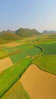 fpv vuelo terminado pintoresco campos en norte Vietnam video
