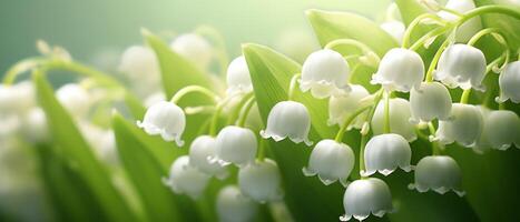 AI generated Soft focus macro view of a Lily-of-the-valley bloom. photo