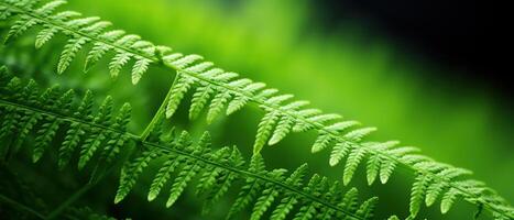 AI generated Macro shot of a lush green fern. photo