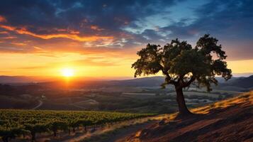 AI generated Sunset over vineyards with a single tree in the foreground. Concept of vineyard at dusk, nature's tranquility, agricultural beauty, sunset serenity, calmness. photo