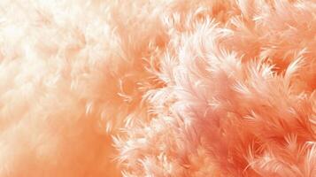 AI generated Fashionable Peach feather texture. Background. Trendy color. Concept of Softness, Comfort and Luxury. Ideal for backdrop, Fashion, Textile, Interior Design. Furry surface photo