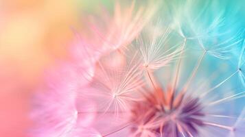 AI generated Dandelion fluff with pastel rainbow colors. Abstract colorful background. Concept of delicate beautiful backdrop, serene and calmness, dandelion seeds. photo