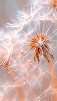 AI generated Dandelion fluff with trendy pastel Peach color. Abstract background. Concepts of delicate fashionable backdrop, dandelion seeds. Vertical format. photo