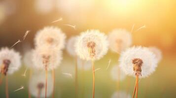 AI generated Dandelion close up with sunlight creating a bright, dreamy atmosphere. Concept of serene and calmness, beauty of nature, dandelion seeds, abstract background. photo
