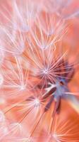 AI generated Dandelion fluff with trendy pastel Peach color. Abstract background. Concepts of delicate fashionable backdrop, dandelion seeds, calmness. Vertical format. photo