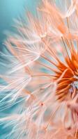 AI generated Dandelion fluff with trendy pastel Peach color. Abstract background. Concepts of delicate fashionable backdrop, dandelion seeds. Vertical format. photo