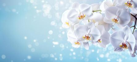 AI generated White orchids bouquet against sparkling blue background with bokeh. Banner with copy space. Ideal for poster, greeting card, event invitation, promotion, advertising, print photo