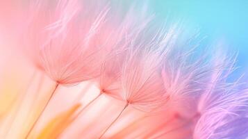 AI generated Dandelion fluff with pastel rainbow colors. Abstract colorful background. Concept of delicate beautiful backdrop, serene and calmness, dandelion seeds. photo