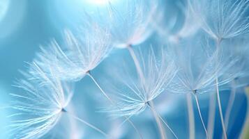 AI generated Dandelion fluff with pastel blue color. Abstract background. Concept of delicate beautiful backdrop, serene and calmness, dandelion seeds. photo