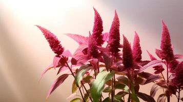 AI generated Soft pink amaranth flowers in daylight, suitable for springtime imagery. Usage in Seasonal marketing, gardening content. With copy space. photo