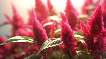 AI generated Soft pink amaranth flowers in daylight, suitable for springtime imagery. Usage in Seasonal marketing, gardening content photo