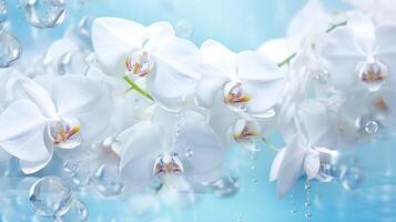 AI generated White orchids bouquet under light blue clear water with bubbles and droplets. Banner with copy space. for poster, greeting card, event invitation, promotion, advertising, print photo