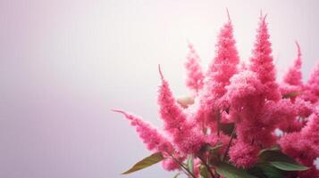 AI generated Bright pink amaranth blooms, on a light background, ideal for botanical illustrations. Usage in garden blogs, horticulture websites. With copy space. photo
