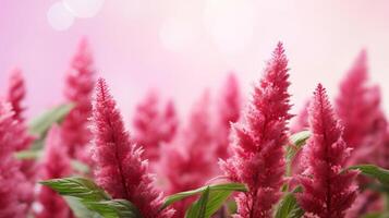 AI generated Vibrant pink amaranth flowers with a soft focus background, perfect for spring themed designs. Usage, seasonal event promotions, greeting cards photo
