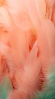 AI generated Soft feathers in pastel colors in shades of pink, peach, and green. Feathers texture background. Use as Backdrops for design projects, Fashion or decor. Concept of Softness and elegance photo