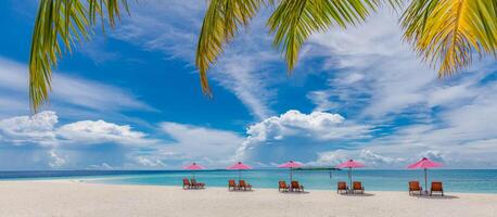 Beautiful tropical beach scenery. sun beds, loungers, umbrella under palm tree. White sand, sea view with horizon, colorful sunshine sky, calmness and relaxation. Inspirational beach resort hotel photo